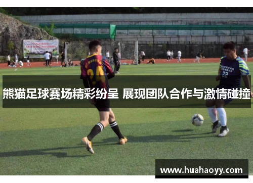 熊猫足球赛场精彩纷呈 展现团队合作与激情碰撞
